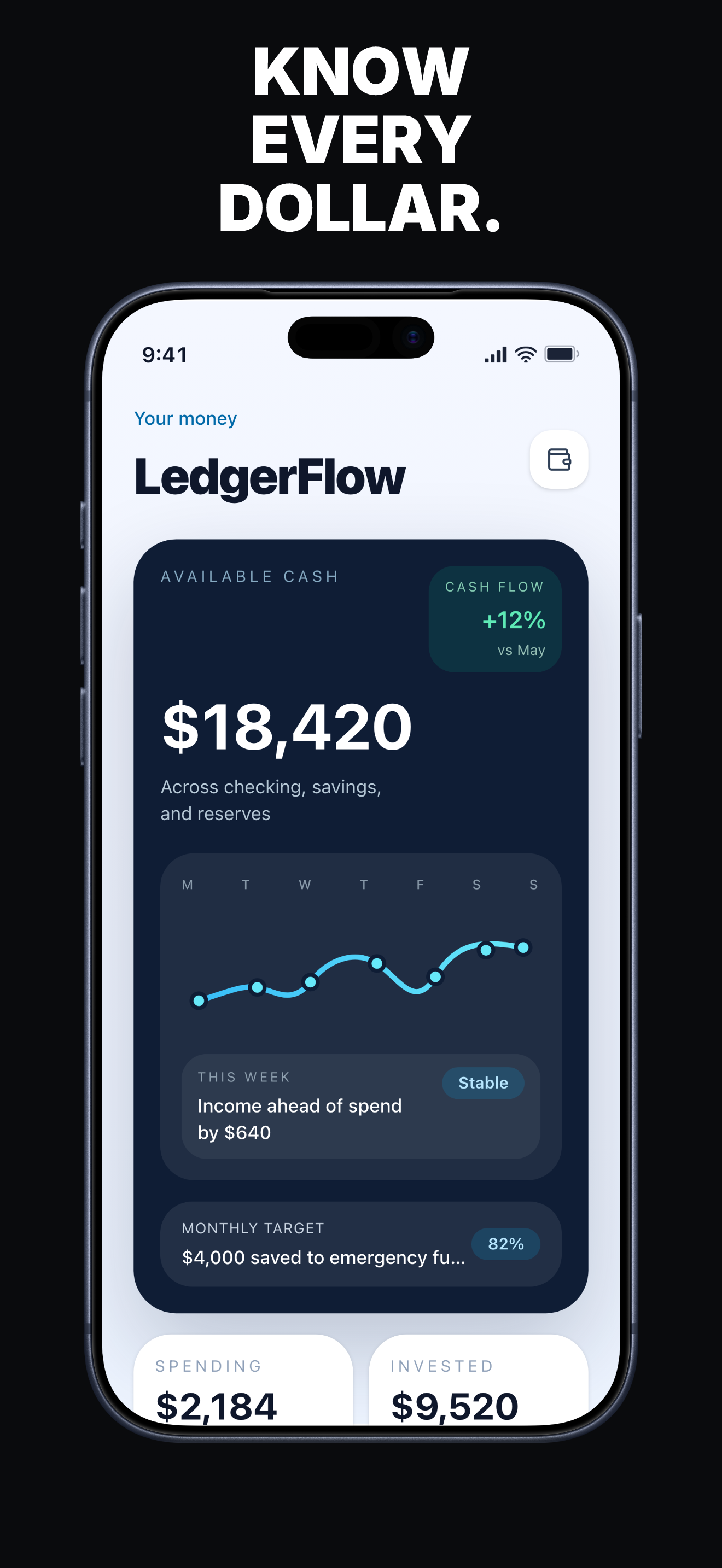 LedgerFlow finance App Store screenshot example showing balance and cash-flow chart.