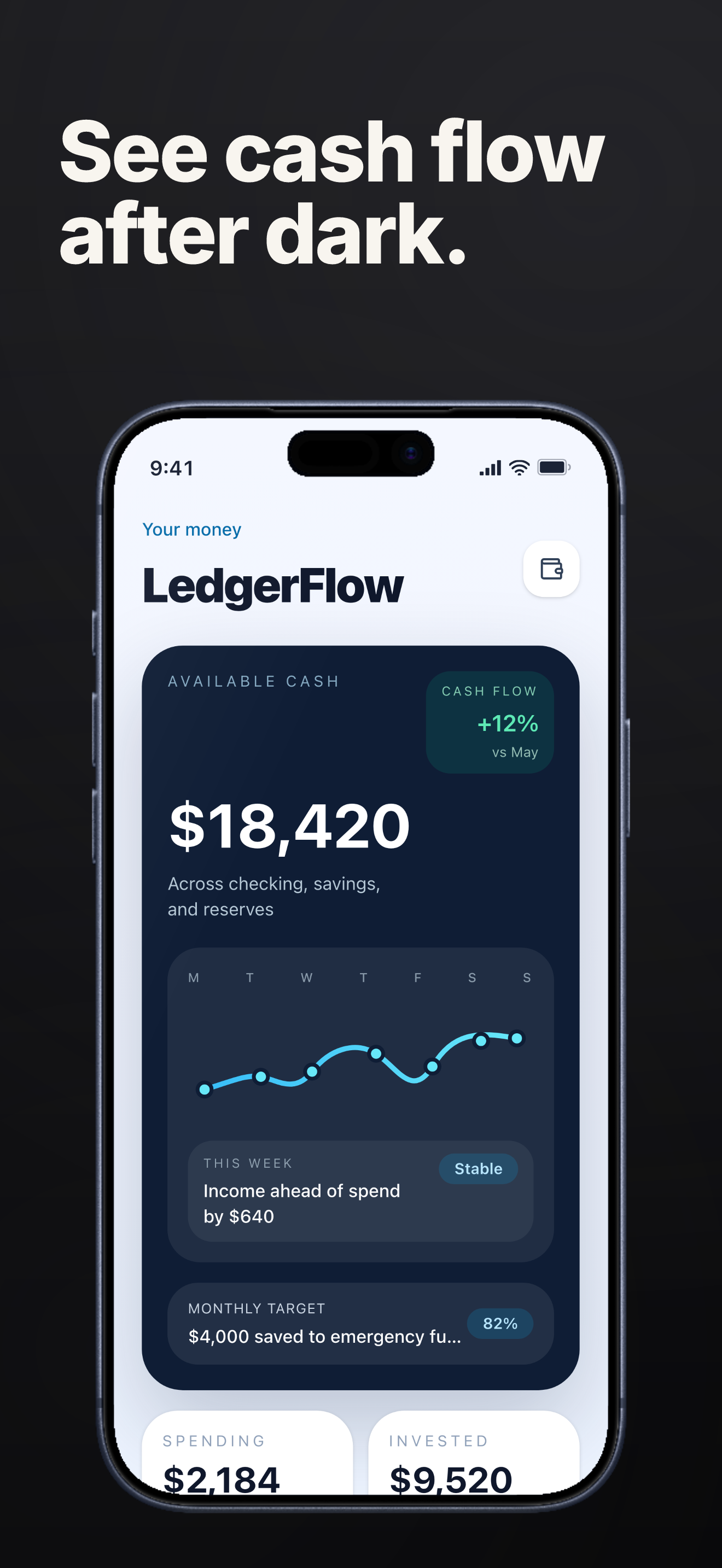 Dark Mode template App Store screenshot demo showing LedgerFlow cash-flow dashboard.